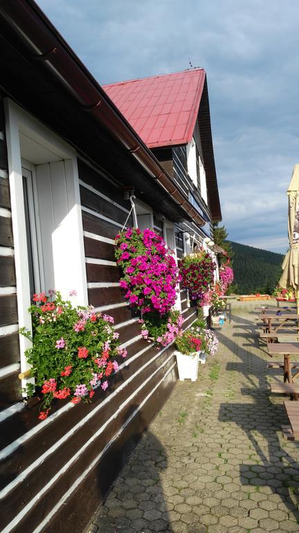 Penzion Lesni Pramen Pec pod Sněžkou Exterior foto